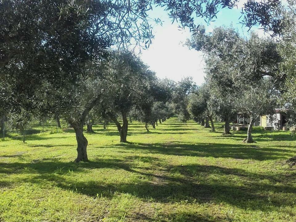 Agriturismo Sa Ruda Cabras Exterior photo