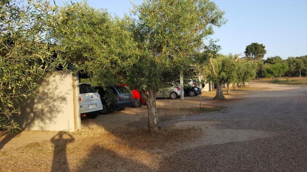 Agriturismo Sa Ruda Cabras Exterior photo